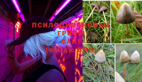 стаф Михайлов