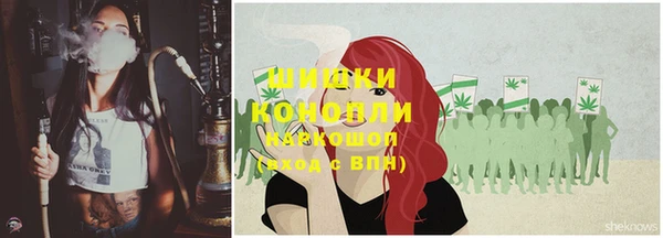 стаф Михайлов
