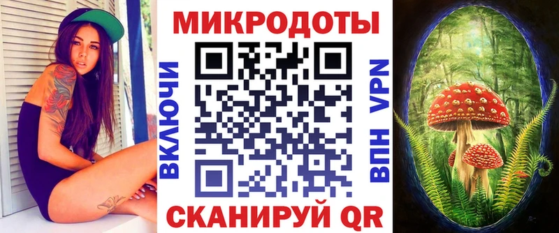 нарко площадка официальный сайт  как найти   Гдов  Псилоцибиновые грибы прущие грибы 